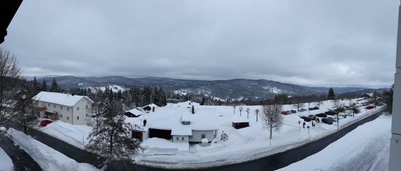 Apartment Almberg Mitterfirmiansreut Eksteriør billede